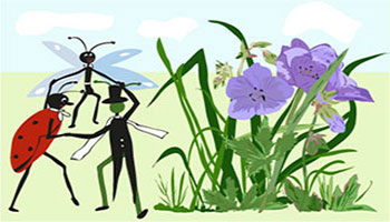 fruehling willi 350x200